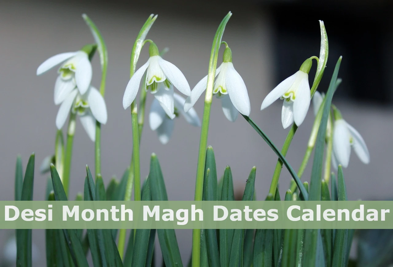 Desi Month Magh Dates Calendar