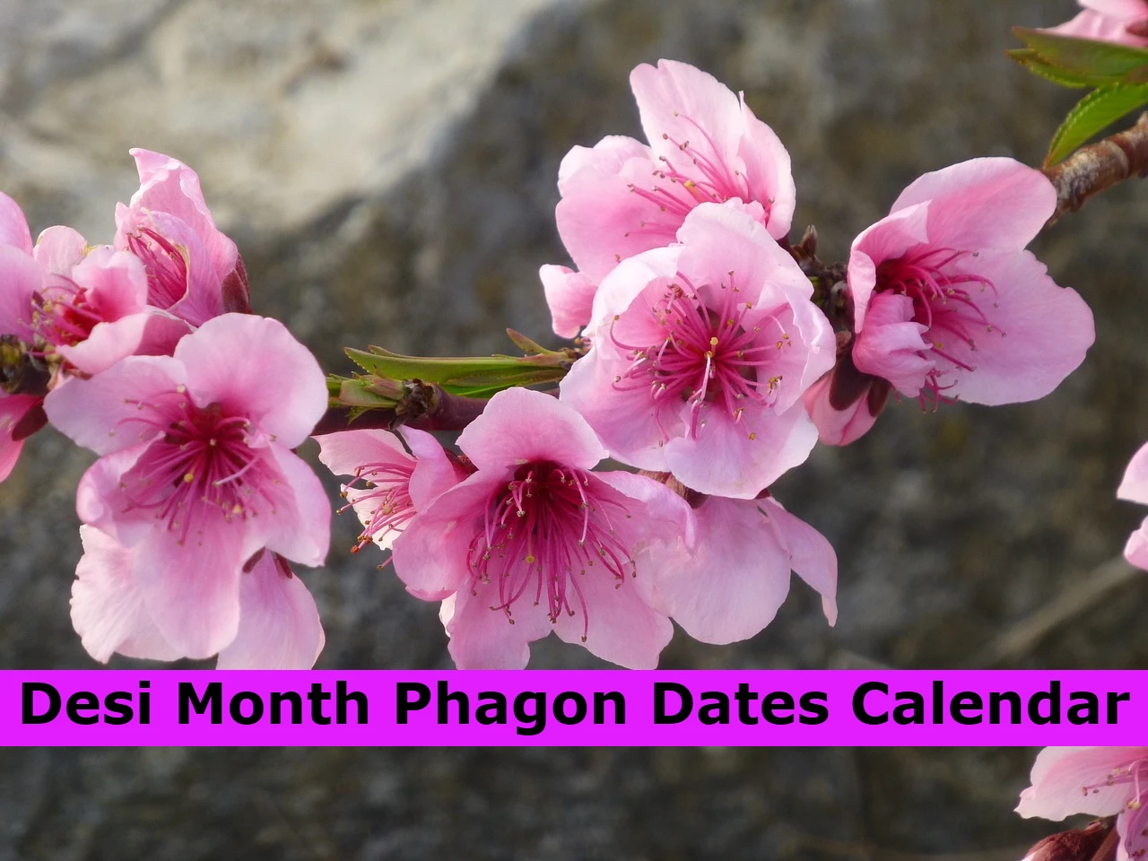 Desi Month Phagon Dates Calendar